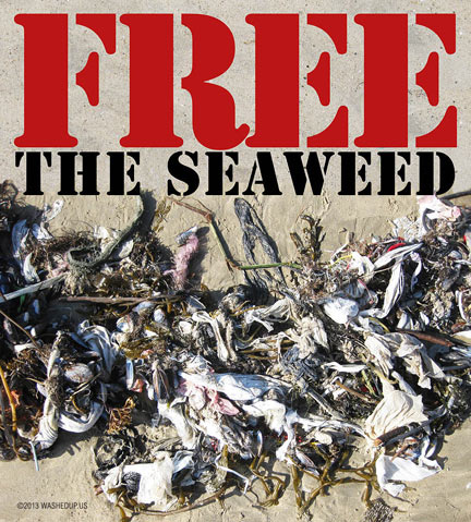Free the Seaweed